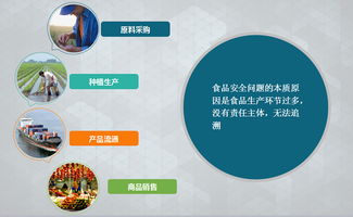 溯源系统在食品质量保障与购物系统中的关键作用