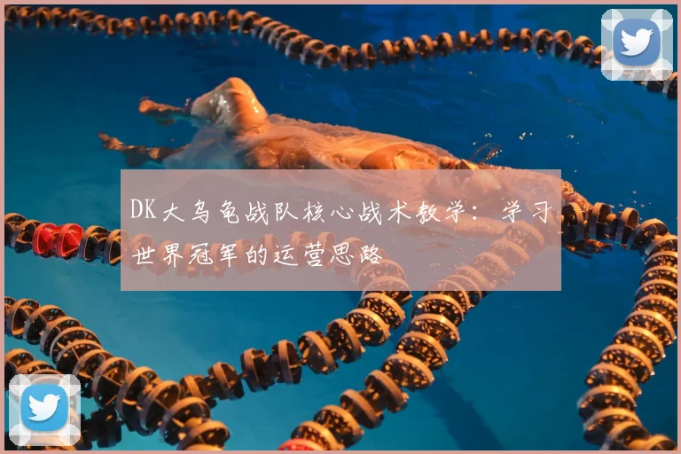 DK大乌龟战队核心战术教学：学习世界冠军的运营思路
