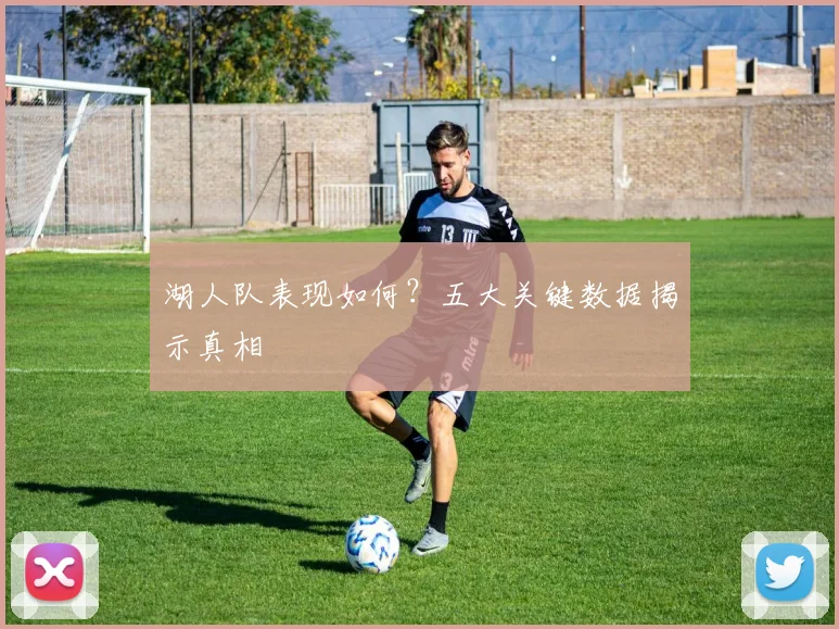 湖人队表现如何？五大关键数据揭示真相