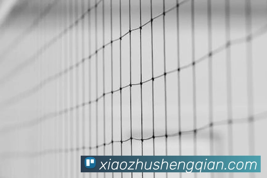 世界杯(中国)一站式服务官网服务体系
