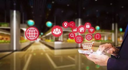 快消品零售商的实证案例研究 购物系统的视角